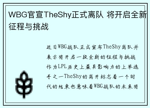 WBG官宣TheShy正式离队 将开启全新征程与挑战
